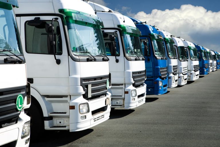 Estacionamento Mega Park Marginal Truck
